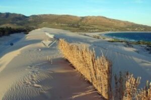Diligencias por posible hurto de arena de la duna de Valdevaqueros