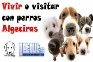 Incómoda:Gibraltar combatirá los excrementos caninos con el perfil de ADN ¿Lo haría usted en Algeciras?