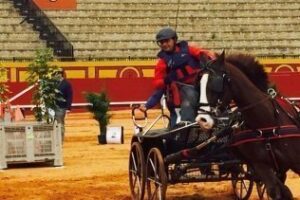 Colorido y habilidad en el concurso de enganches celebrado en la plaza de toros