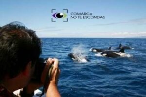 El PA propone en Mancomunidad realizar una campaña de promoción de la imagen del Campo de Gibraltar