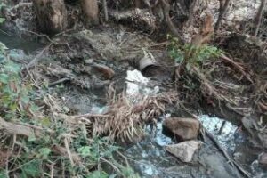Cooperación Alternativa y Agaden denuncian la presencia de amianto en la red de abastecimiento de agua de potable de la comarca