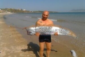 El pez que apareció en Getares alerta de los terromotos...ayer hubo uno el Golfo de Cádiz