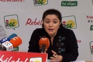 IU lamenta que no se prevea más actuaciones para eliminar el amianto en seis centros educativos de la comarca