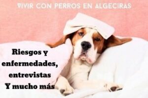 Vivir con perros en Algeciras: Riesgos, enfermedades, entrevistas y mucho más
