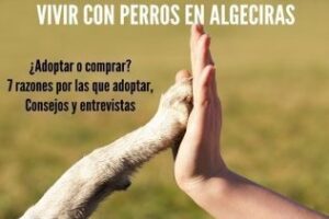 Vivir con perros en Algeciras: ¿Adoptar o comprar? Consejos, entrevistas, mapa y mucho más