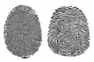 Detenida la autora del robo en el interior de un vehículo gracias al cotejo de huellas