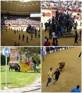 El Toro Embolao recorrerá La Villa de Los Barrios este domingo