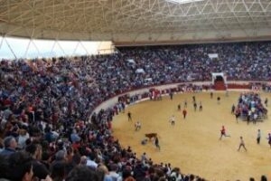 El Toro Embolao de Los Barrios se salda con un herido en la UCI y mucho ambiente