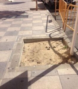 Manuel de Falla denuncia la falta de repoblación en la calle Millán Picazo