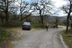 Agaden denuncia la degradación de los bosques de nieblas de Los Alcornocales