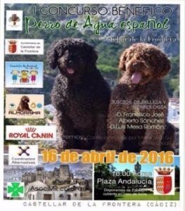 Castellar acoge el sábado el I Concurso de perro de agua español
