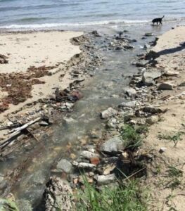 Denuncian vertidos en la playa de El Chinarral