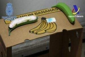 Intervenenidos 171 kilos de cocaína en bananas sintéticas