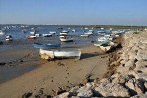 El PSOE insta al Gobierno para que se creen los órganos de participación en el ámbito del sector pesquero y acuícola