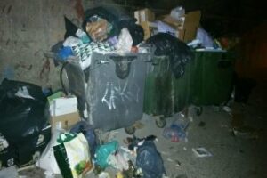 IU reclama una intervención urgente de el punto de contenedores de Sagrado Corazón