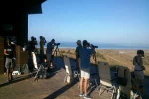 No" a la apertura del Observatorio de Cazalla en Tarifa