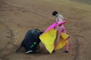 Los Carteles Taurinos a examen (II). Pliego atípico. Por Antonio Rodríguez