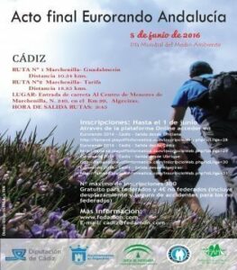 Día Mundial del Medio Ambiente