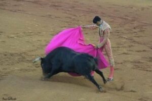 Junio el mes de la Feria y de los Toros ( y III). Por Antonio Rodríguez