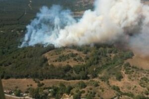 Incendio en el Pinar del Rey