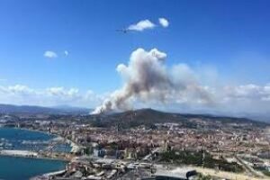 Extinguido el incendio que arrasó 21 hectáreas en el Pinar del Rey