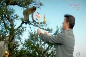 Incómoda : ¿Cuál es el futuro de Gibraltar?