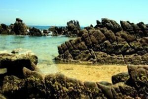 La Guardia Civil interviene 821 kilos de hachís en Bolonia