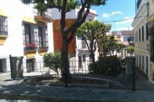 El Ayuntamiento aumenta la ornamentación en la calle San Antonio