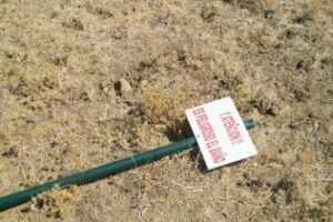 Algeciras Si Se Puede pide el vallado provisional del Acuífero de Las Pilas