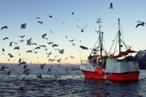 Los pescadores controlarán sus capturas con el móvil