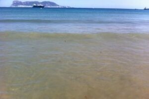 Ávila se reafirma en que el PSOE local está detrás de la huelga de limpieza de playas