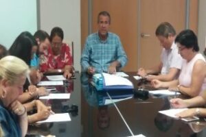 Urbanismo concede licencia a Endesa para el proyecto de línea del Cañuelo al Puerto