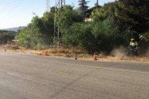 El Ayuntamiento desbroza la carretera del Faro y los accesos al Cortijo Real