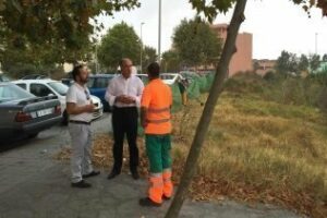 El alcalde visita La Ermita donde han comenzado trabajos de poda y desbroce