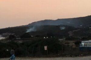 Sofocado un incendio en el pinar de Bolonia