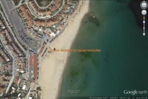 Más de 900 firmas para la campaña de mascotas en la playa