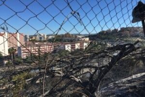 Pizarro: El alcalde de Algeciras es incapaz de gestionar los problemas de los incendios"