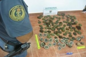 Esquilmación y pasividad