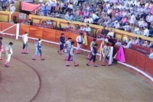 Los toreros héroes del siglo XXI. Por A.P.T.A