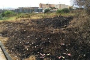 La Voz de Algeciras denuncia el abandono de dos parcelas en San José Artesano