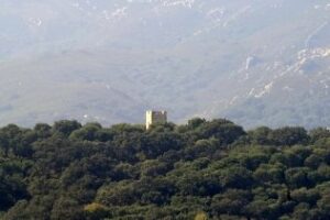 Instan a la limpieza y restauración final de la Torre Medieval de Botafuegos