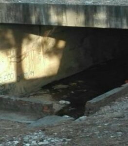 ASSP pide el cierre del colector de los pastores ante los malos olores