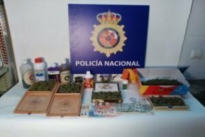 La Policía Nacional detiene a una persona por cultivar marihuana en un chalet