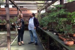 El Jardín del Bonsái del Parque María Cristina cumple 3 años cargado de actividades