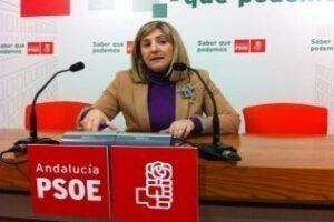 El PSOE muestra su decepción ante unos PGE que "cierran puertas al desarrollo económico" de la provincia