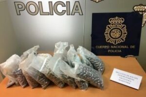 Detenidas 106 personas por tratar de introducir hachís a España