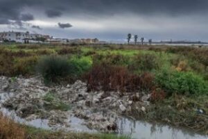 Entre "asco y rabia"
