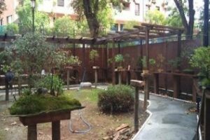 Comienzan las visitas de escolares al Jardín de los Bonsáis