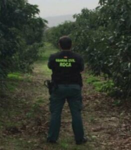 Guardia Civil detiene a los autores del robo de dos toneladas de aguacates