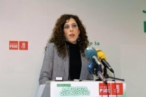 El PSOE reclama un Consejo Interterritorial monográfico sobre financiación sanitaria